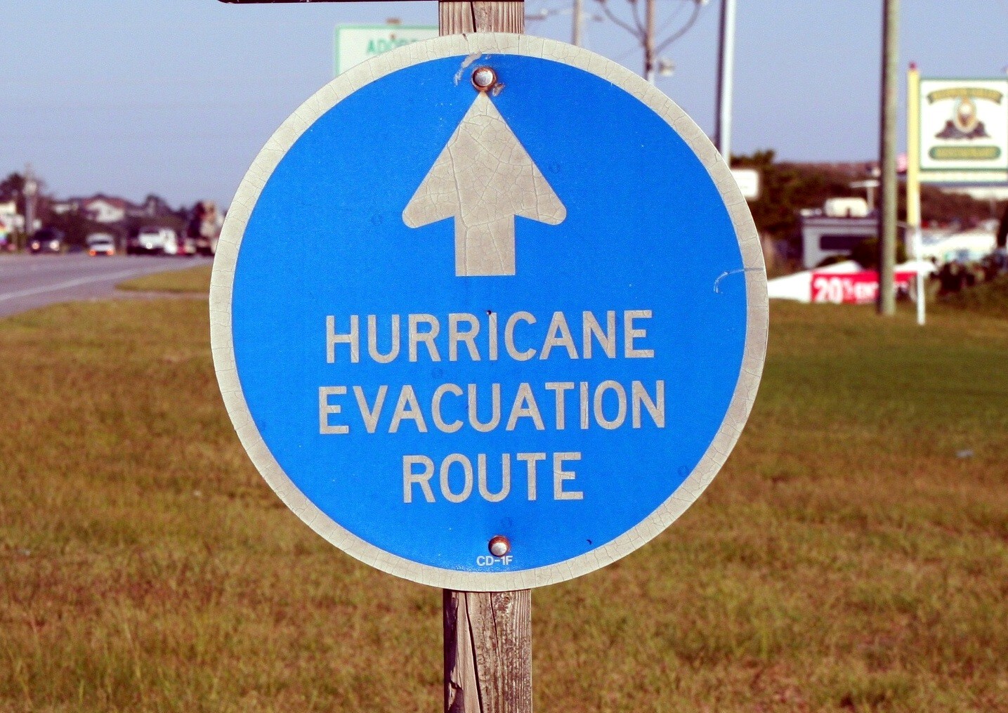 Hurricane and Natural Disaster Pet Care